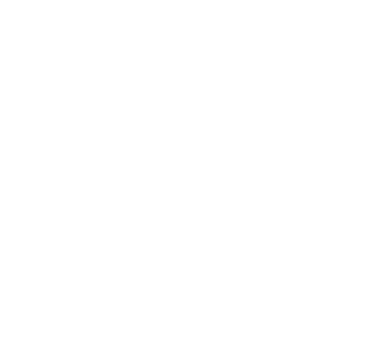 Fair Fight Foundation